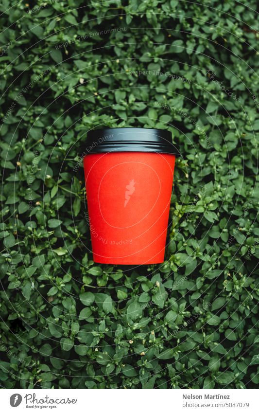 Roter Pappbecher mit Kaffee auf grünem Blumenhintergrund Getränk vereinzelt Hintergrund Nahaufnahme Cappuccino Tasse trinken Hand Heißgetränk Lebensmittel