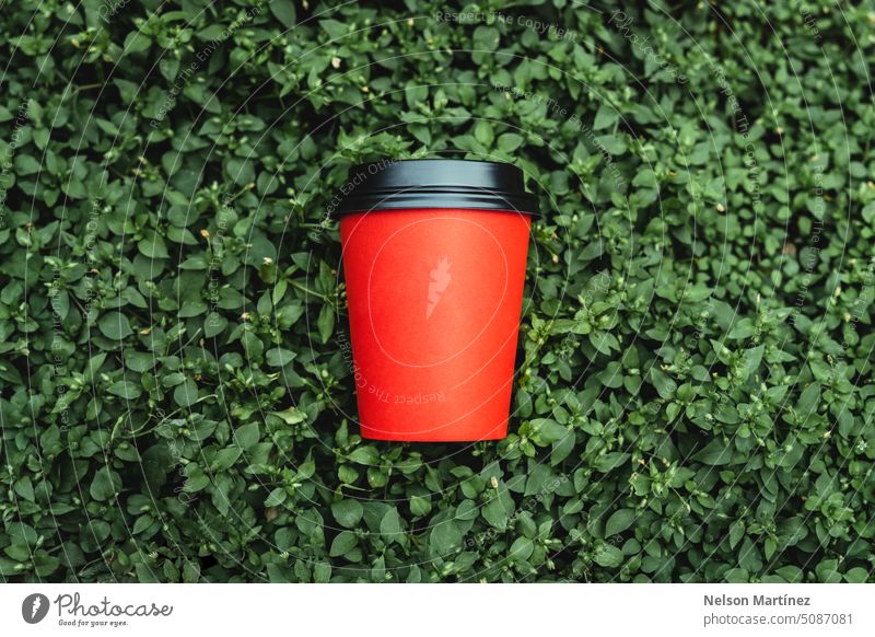 Roter Pappbecher mit Kaffee auf grünem Blumenhintergrund Getränk vereinzelt Hintergrund Nahaufnahme Cappuccino Tasse trinken Hand Heißgetränk Lebensmittel heiß