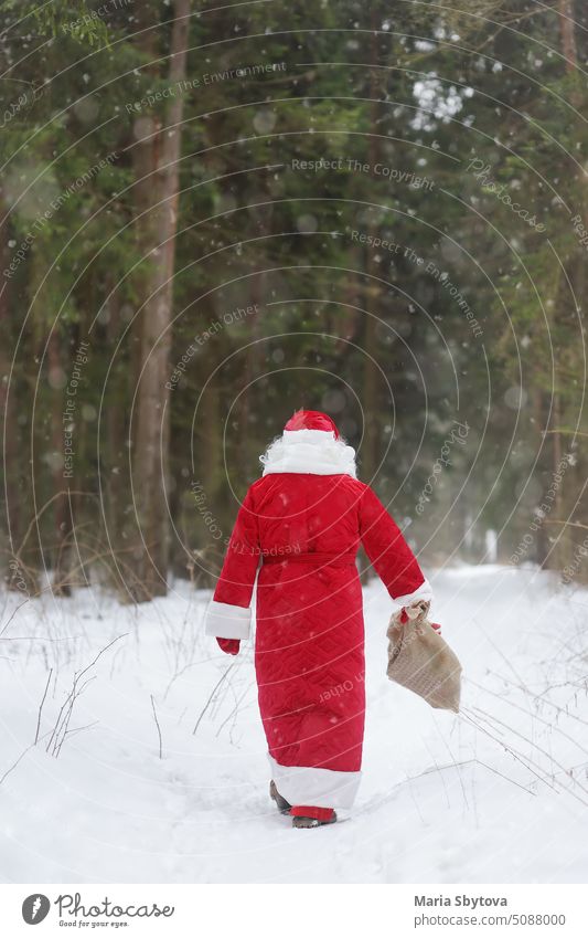 Der Weihnachtsmann mit einem Sack voller Weihnachtsgeschenke geht durch einen verschneiten Wald. Animateur oder Elternteil im Weihnachtsmannkostüm eilt zu einem Feiertag für Kinder. St. Nikolaus Tag.
