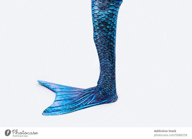 Blauer Schwanz der Meerjungfrau mit Schuppen Person Leitwerke Tracht Skala schimmern kreativ Element Scheitel Phantasie blau farbenfroh Design Feiertag Glitter