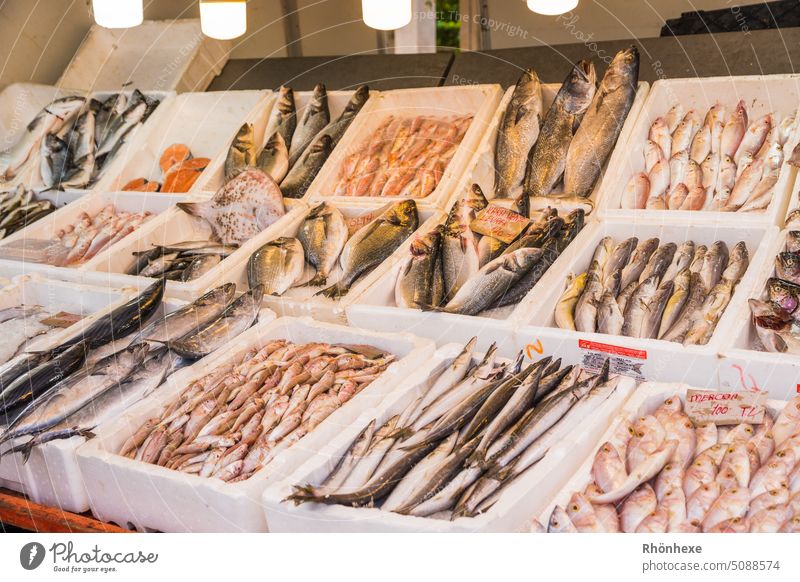 Frischer Fisch auf einem türkischen Markt frisch Lebensmittel Farbfoto Menschenleer lecker Gesunde Ernährung Tag Marktstand Urlaub Türkei Marktplatz