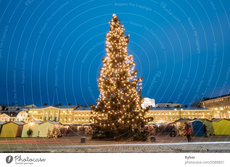 Helsinki, Finnland. Evening View Of Christmas Tree On Senate Square In Evening Night Christmas Xmas Festive Illuminations Feiertag Stadt Straße Finnisch