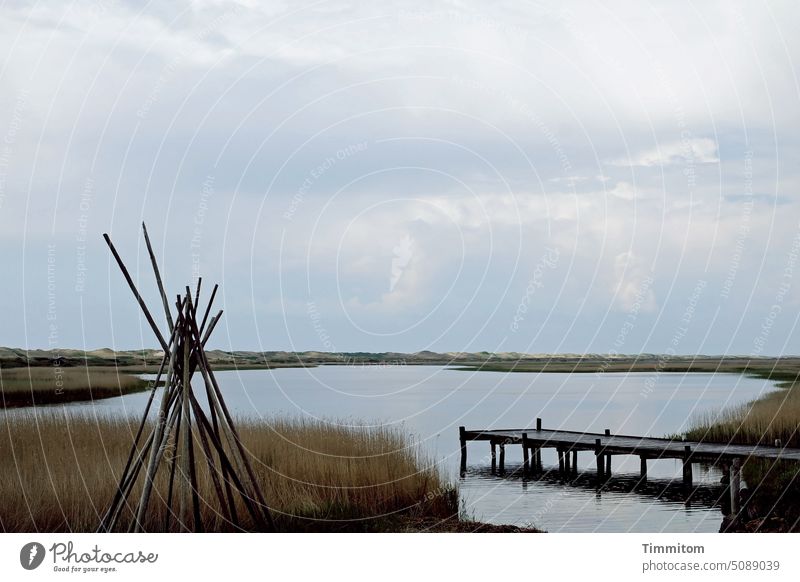 Orte, die etwas bedeuten | Dänischer Fjord Wasser Natur Steg Holz Himmel ruhig Landschaft Wolken Idylle Schilf Dänemark Menschenleer Ferien & Urlaub & Reisen