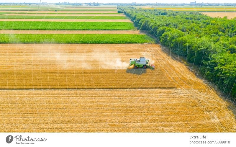 Blick von oben auf Mähdrescher, Erntemaschine, erntereifes Getreide Antenne landwirtschaftlich Ackerbau Müsli Land Landschaft kultiviert Bodenbearbeitung