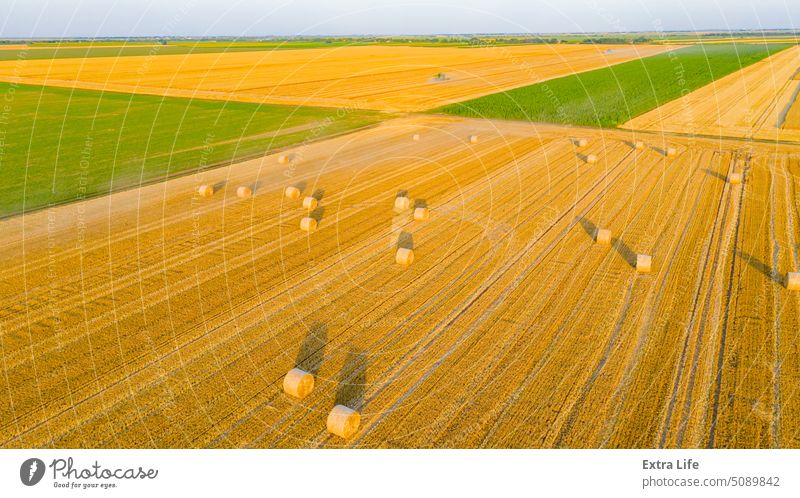 Luftaufnahme über landwirtschaftliche Felder in der Erntezeit, Saison, Rundballen aus Stroh über abgeerntetem Feld oben Antenne Ackerbau Ballen Müsli
