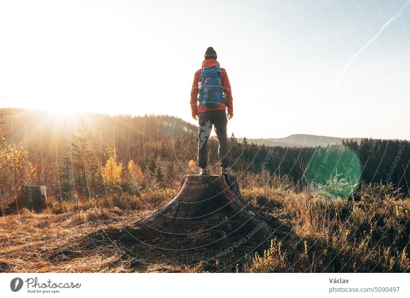 Ein aktiver Wanderer steht auf einem Baumstumpf und genießt das Gefühl, bei Sonnenaufgang den Gipfel des Berges zu erreichen. Ein Wanderer wird von der Morgensonne erleuchtet und genießt die Aussicht. Beskiden, Tschechische Republik