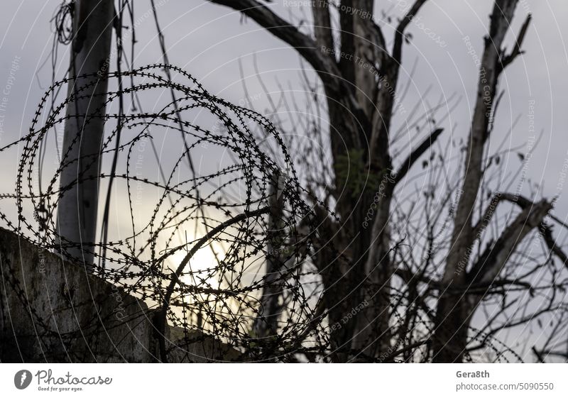 Stacheldrahtzaun gegen den Himmel in der Ukraine donezk Kherson kyiv Lugansk mariupol Russland Saporoschje aussetzen Verlassen attackieren Hintergrund gesprengt
