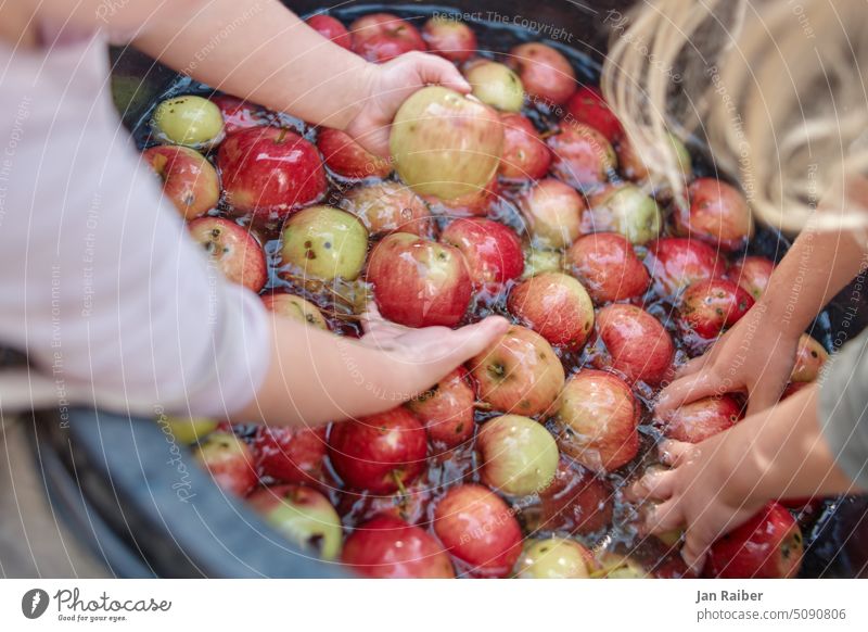 Apfelfest - Äpfel waschen Kinder Hände Obst Wasser Waldorf Kindergarten glänzen