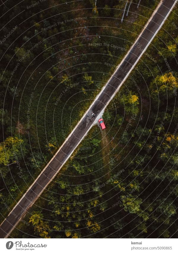 Straße durch Wald, Auto und liegende Personen von oben grün rot gerade Schneise Weg Verkehr Drohnenansicht Drohnenfoto Drohnenfotografie Vogelperspektive Parken