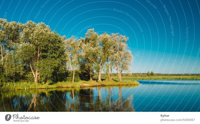 Wasseroberfläche des Sees Teich Fluss im Sommer sonnigen Abend. Natur von Belarus und europäischen Teil von Russland Landschaft schön Osteuropa Szene Europa