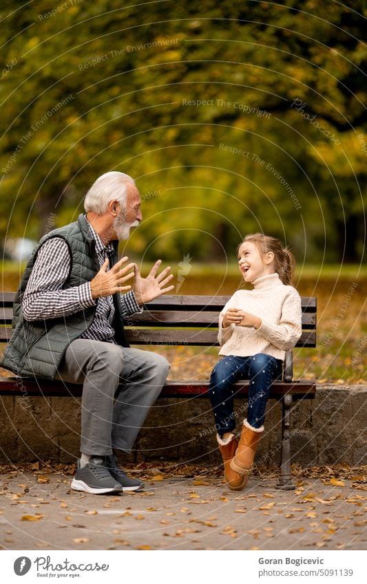 Großvater spielt mit seiner Enkelin im Park an einem Herbsttag das Spiel "Rote Hände klatschen". Erwachsener gealtert Bonden Kaukasier kaukasische Ethnizität