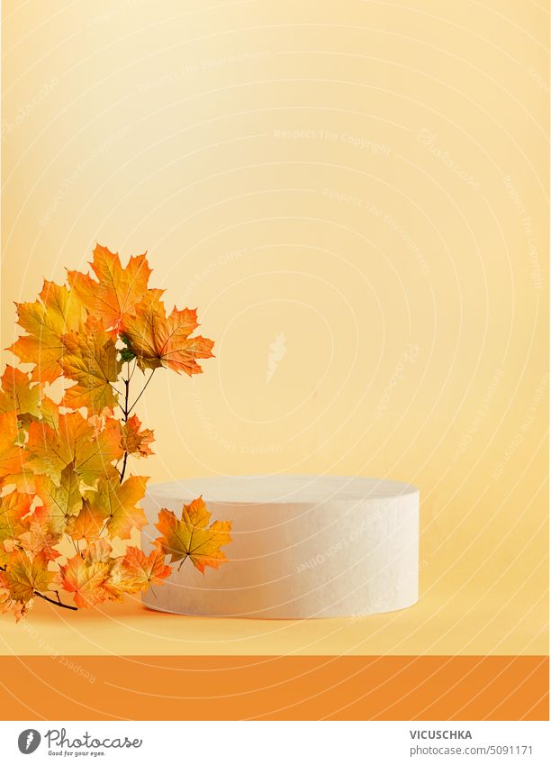 Modernes Produktdisplay mit Podium und Ahornblättern auf gelbem Hintergrund. Minimale Szene Bühne Schaufenster für Ihr Produkt. Frontansicht mit Kopierbereich.