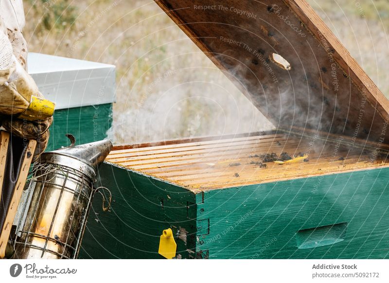 Anonymer Imker mit Bienenrauchsender beim Öffnen des Bienenstocks Mann Rauch Sender Bienenkorb Bienenzucht Arbeit Landschaft Wabe Insekt Liebling Werkzeug Gerät