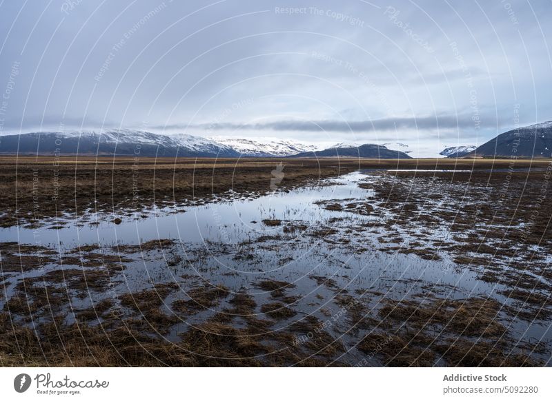 Wasserbedecktes Land mit Gras in der Nähe der schneebedeckten Berge von Island Berge u. Gebirge Schnee zerlaufen spektakulär Eis atemberaubend dumpf gefroren