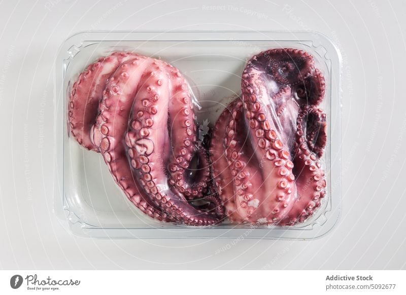 Ungekochter Oktopus im Plastikbehälter Octopus roh ungekocht Tentakel Meeresfrüchte Produkt Lebensmittel Kunststoff Container organisch Kasten frisch natürlich