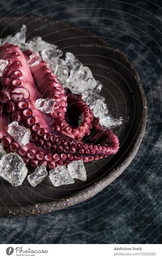 Gekochter Oktopus auf Teller mit Eis Octopus gekocht Speise Tentakel rund Würfel Meeresfrüchte Portion Produkt Lebensmittel organisch frisch natürlich Ernährung