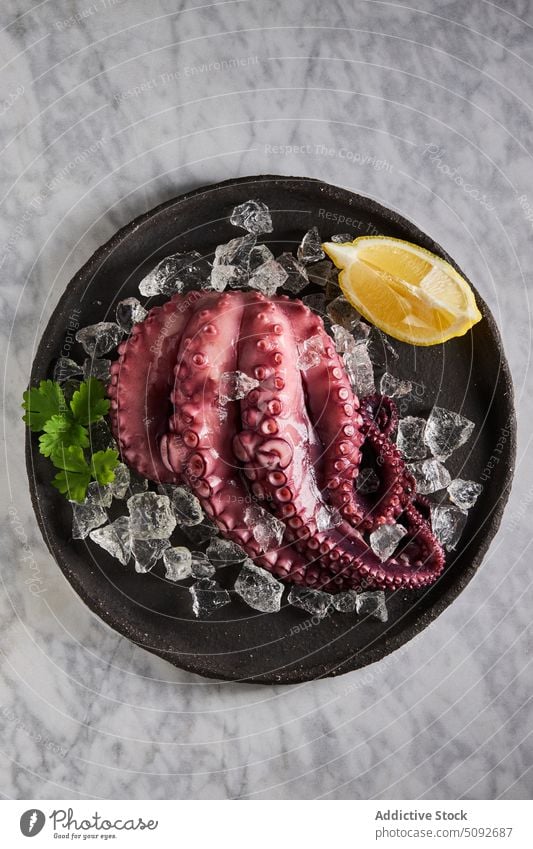 Gekochter Oktopus auf Teller mit Eis Octopus gekocht Speise Zitrone Petersilie Tentakel rund Würfel Meeresfrüchte Portion Produkt Lebensmittel organisch frisch
