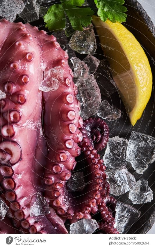 Gekochter Oktopus auf Teller mit Eis Octopus gekocht Speise Zitrone Petersilie Tentakel rund Würfel Meeresfrüchte Portion Produkt Lebensmittel organisch frisch
