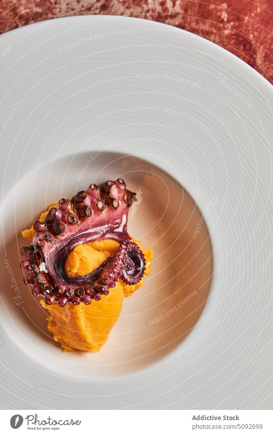 Gegrillter Oktopus mit Kartoffelpüree und Paprika Speise dienen Octopus Tentakel Grillrost Lebensmittel rund Teller Keramik Meeresfrüchte Portion Produkt