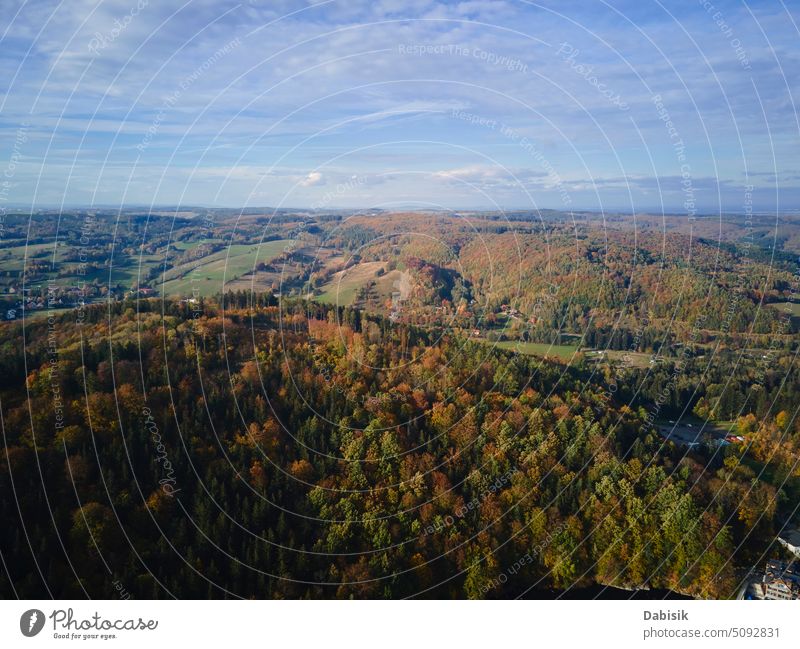 Freiflug über Berglandschaft mit Herbstwald Berge Natur Landschaft fallen Saison Luftaufnahme im Freien Polen reisen panoramisch Hintergrund sonnig gelb Park