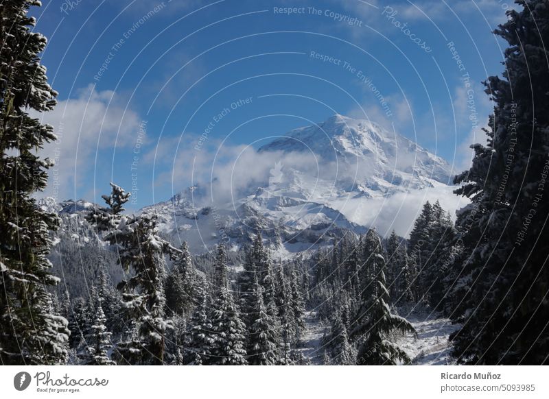 Verschneiter Gipfel Winter Berge u. Gebirge Bergsteigen Bergsteiger wandern Wanderausflug Landschaft Seattle Mount Rainier Schneebedeckte Gipfel kalt