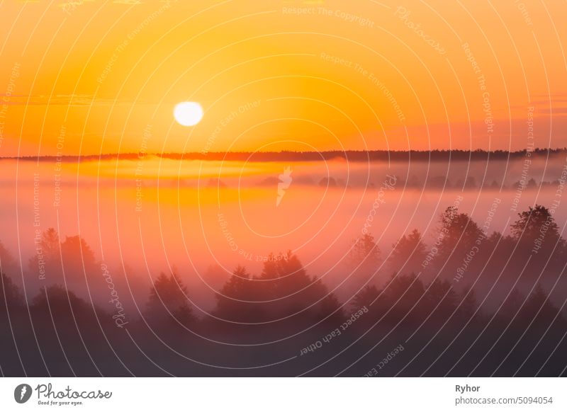 Amazing Sonnenaufgang über neblige Landschaft. Scenic View Of Foggy Morning Sky With Rising Sun Above Misty Forest. Mitte Sommer Natur von Europa Farbe Park