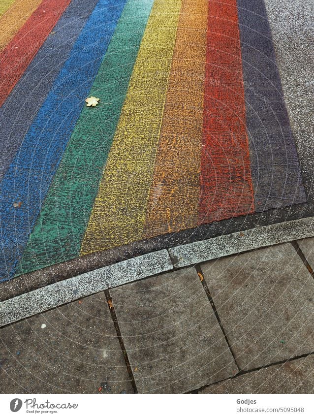Zebrastreifen der besonderen Art. Regenbogenfarben auf der Straße regenbogenfarben mehrfarbig Spektralfarbe Menschenleer Farbe Blatt Straßenverkehr