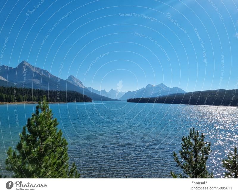 Maligne Lake See Bergsee Wasser blau Berge u. Gebirge Gletscher Sonne Himmel Felsen Bäume Natur Landschaft Horizont Sommer Alberta Kanada Rocky Mountains