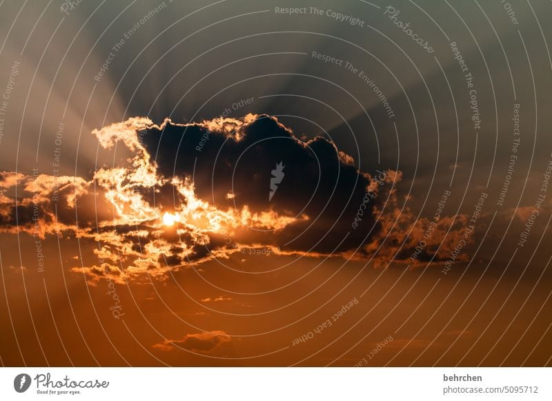 himmelszeichen Glaube Hoffnung Abenddämmerung Sonnenschein Sonnenlicht Regenwolken Sonnenuntergang Himmel fantastisch Wolken Licht Außenaufnahme Afrika Namibia