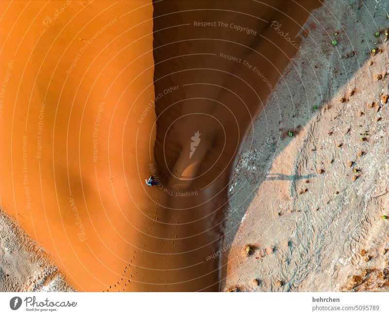 die welt von oben Schatten Licht Sossusvlei Vogelperspektive Außenaufnahme Drohne Sesriem Sand Wüste dune 45 Afrika Namibia Ferne Fernweh Sehnsucht Farbfoto