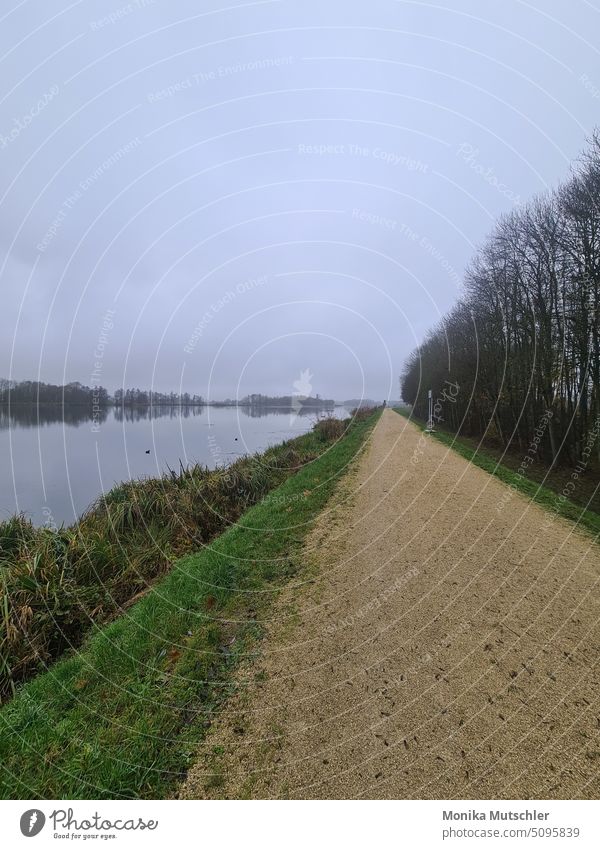 Spaziergang an der Donau Fluss Staustufe Flußwehr nass Wellen Natur Umwelt Reflexion & Spiegelung Wasser Menschenleer fließen Nebel Wasseroberfläche November