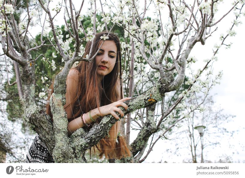 junge Frau mit langen Haaren in einem Kirschbaum Melancholie langes Haar geheimnisvoll authentisch hübsch Haarsträhne elegant brünett Wald langhaarig schön