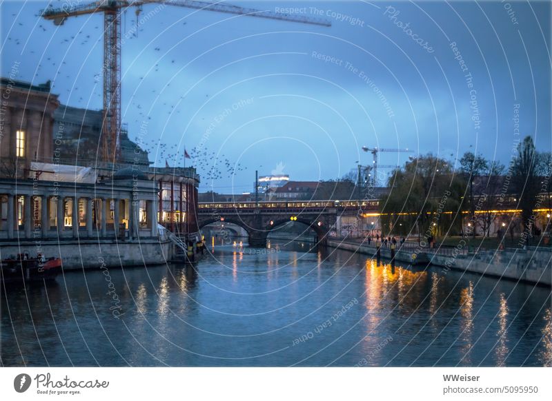 Blaue Stunde auf der Museumsinsel. Ein Vogelschwarm und ein Baukran über der Spree. Abend dunkel Dämmerung blaue Stunde bewölkt Berlin Brücke Blick Aussicht