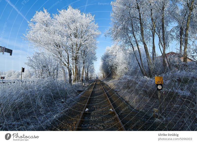 Bahngleise und Bäume bei Frost Eisenbahn Gleise Winter Außenaufnahme Menschenleer Tag kalt Farbfoto Schnee Natur weiß Umwelt Landschaft Baum Schneelandschaft