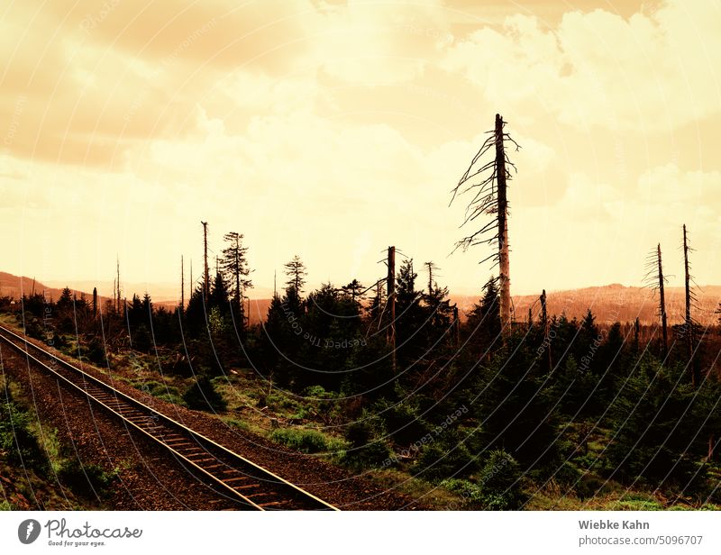 Eisenbahnschiene in zerstörter Landschaft mit Nadelbäumen vor orangefarbenen Himmel. dystopisch utopisch bedrohlich Nadelbaum Natur Umwelt Wolken Zerstörung