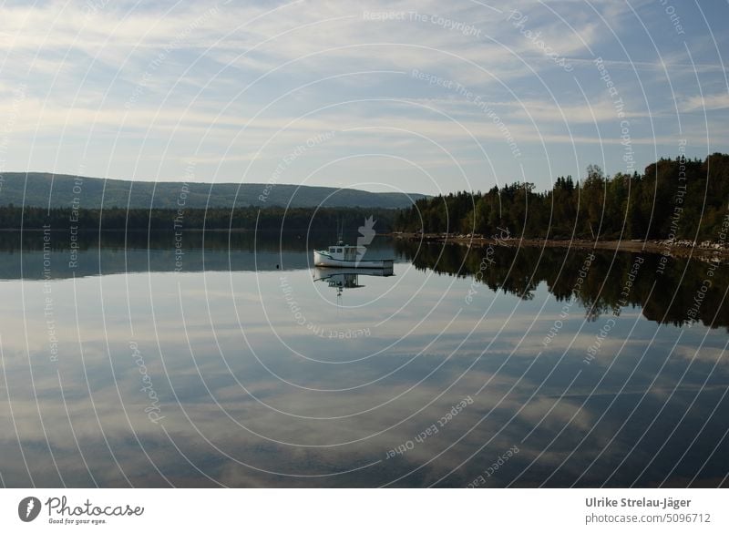 Boot auf See in Kanada mit Wolkenspiegelung Spiegelung Himmel Wald ruhig friedlich Wasser windstill blau weiss grün Ufer Wasseroberfläche Seeufer Landschaft