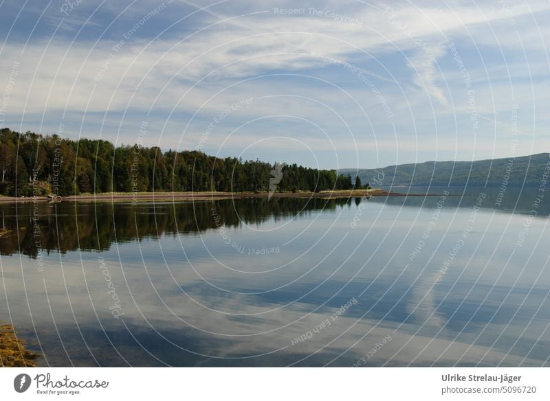 See in Kanada mit Wolkenspiegelung Spiegelung Himmel Wald ruhig friedlich Wasser windstill blau weiss grün Ufer Wasseroberfläche Seeufer Landschaft Idylle Natur