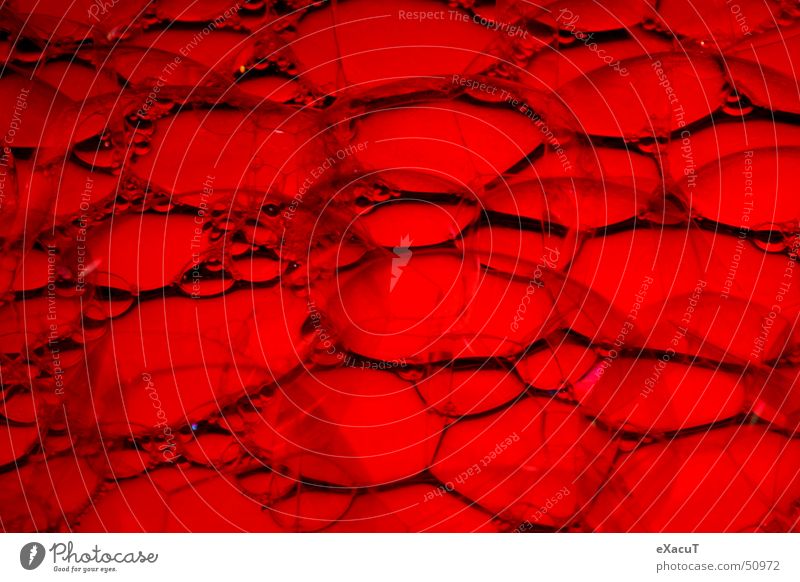 Blood_Bubbles rot Seife durchsichtig zerbrechlich sensibel zart Blase Wasser Strukturen & Formen bubble Flüssigkeit