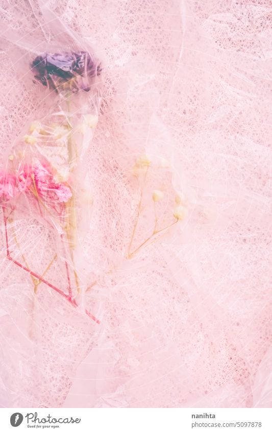Floraler Hintergrund in Rosatönen mit getrockneten Blumen und transparentem Kunststoff geblümt rosa flache Verlegung vertikal romantisch naiv Pastell Farben