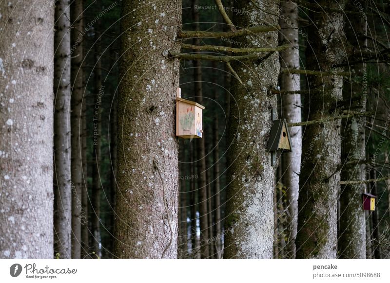 naturverbunden | auf gute nachbarschaft! Wald Vogelhaus Nistkasten Baumstamm hängen Nachbarn Tiny house Umwelt brüten Nachbarschaft Wildtier Naturschutz