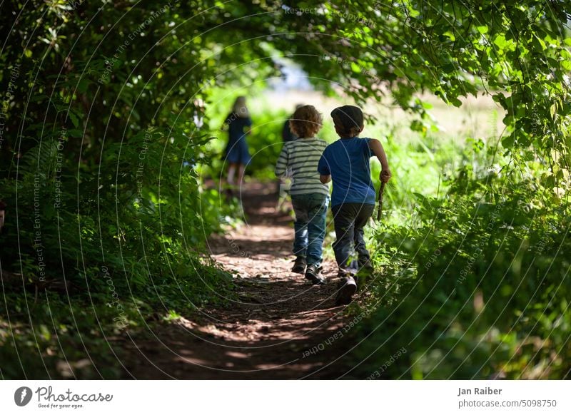 Im Spiel Wald Kinder Waldkindergarten rennen spielen Waldorfkindergarten Sommer Natur Kindheit