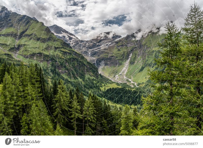 Wanderung um den Großglockner, Österreichs höchsten Berg Landschaft Alpen Wald Berge u. Gebirge Wildnis malerisch Europäer grün Bäume Himmel prunkvoll Panorama