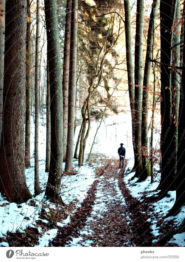 der mann im wald Mann Wald Baum Spuren Winter Hut Schnee Sonne Spaziergang