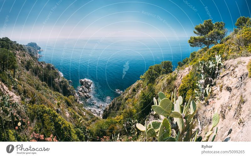 Tossa De Mar, Girona, Spanien. Balearisches Meer. Frühling spanische Natur mit Sommer felsige Landschaft und Meereslandschaft Moschuskopf Küste Europa