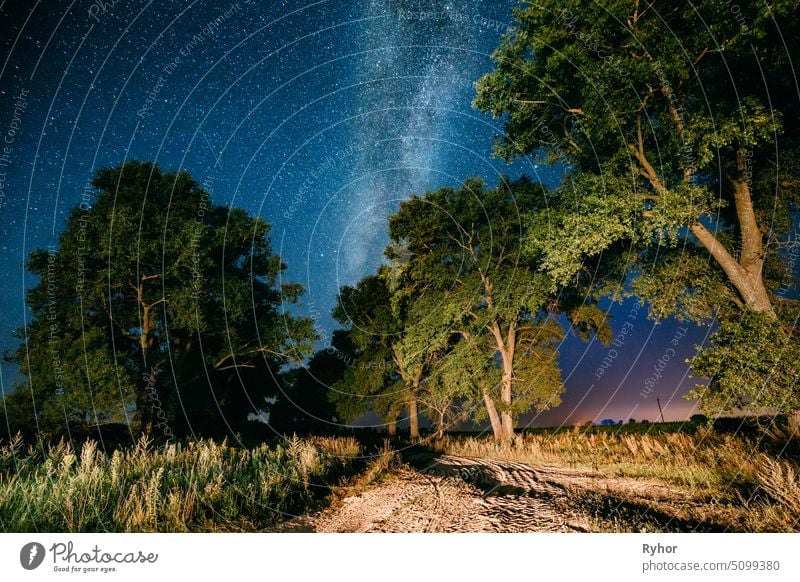 Milchstraße Galaxie in der Nacht Sternenhimmel über Baum im Sommer Wald. Glühende Sterne über Landschaft. Blick von Europa Meteor Szene Nachthimmel