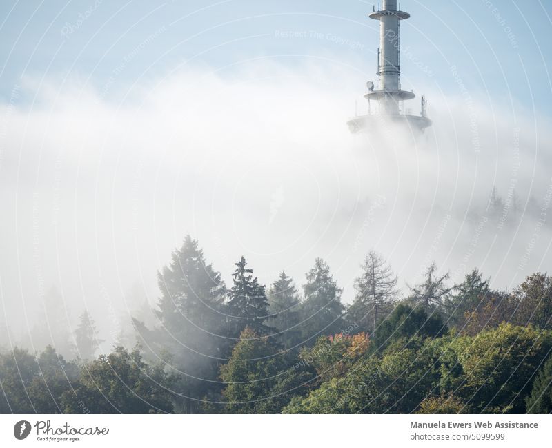 Der Bielefelder Fernsehturm im Nebel mitten im Teutoburger Wald fernsehturm teutoburgerwald bielefeld nebel nebelschwaden dunst hünenburg ostwestfalen bäume