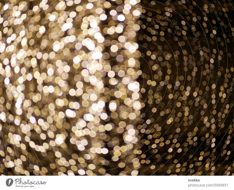 verschleiert | Ein Schleier aus Lichtpunkten Lichterkette Weihnachten & Advent Dekoration & Verzierung Weihnachtsdekoration Beleuchtung Weihnachtsbeleuchtung