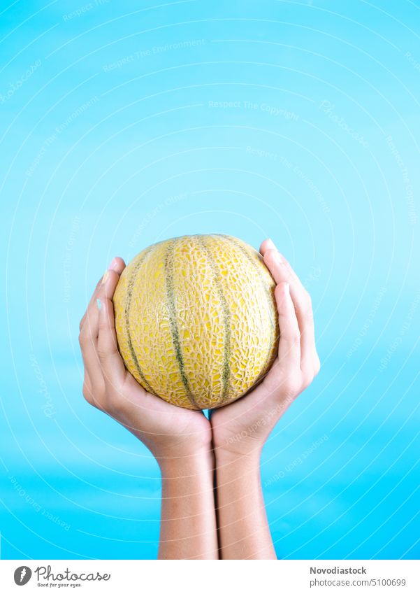 Die Hände eines Mädchens halten eine kleine runde Melone, isoliert auf blauem Hintergrund Melonen Frucht Blauer Hintergrund Beteiligung kein Gesicht grün