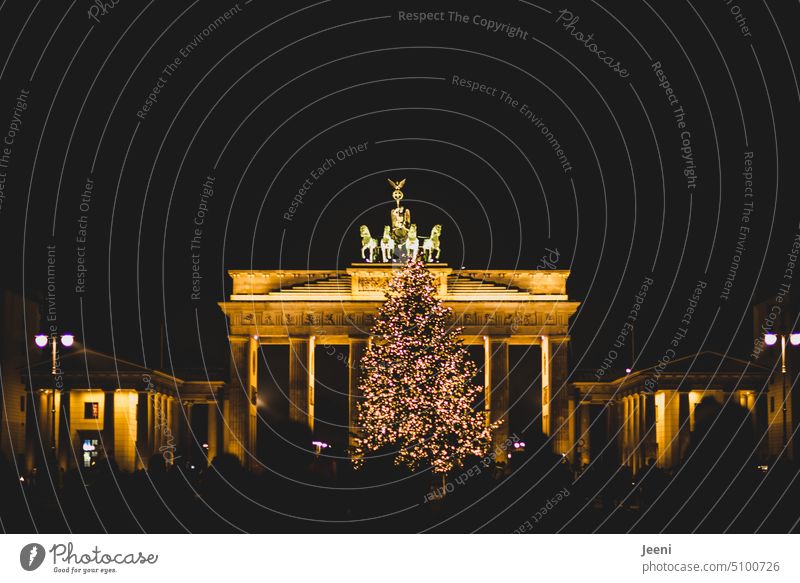 Menschenmenge und Lichterglanz am Brandenburger Tor Berlin Wahrzeichen Sehenswürdigkeit Deutschland Quadriga Beleuchtung Weihnachten & Advent dunkel Abend