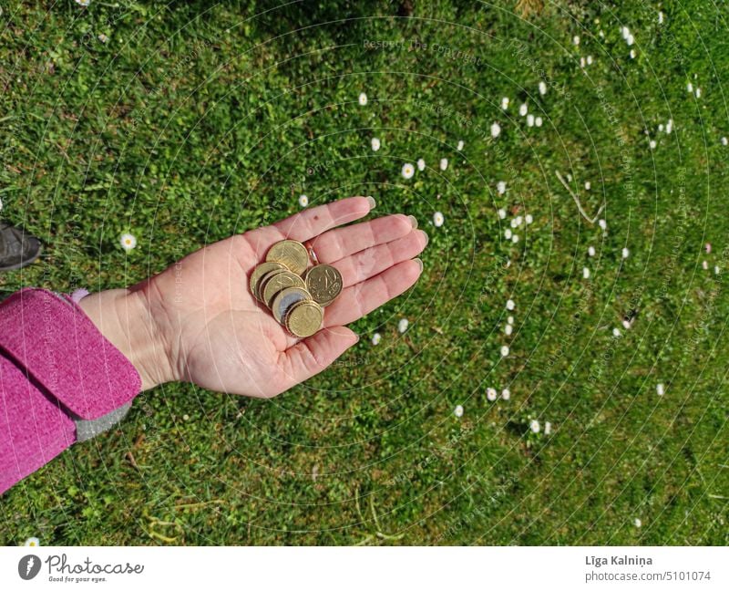 Hand hält Geldmünzen. Euros und Cents Euromünzen Bargeld kleine Änderung Münzen sparen Kapitalwirtschaft bezahlen Finanzen Einkommen Reichtum Wirtschaft kaufen